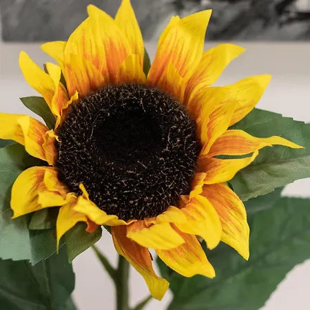 Gran Bilbao Xvi With Parking By Aston *